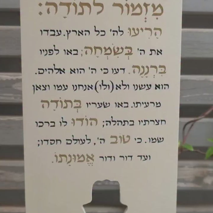 תצוגת הסרטון: זה ישב לי בראש חודשים והיוםםם סוף סוף יצא לאור: מזמור לתודה על בטון