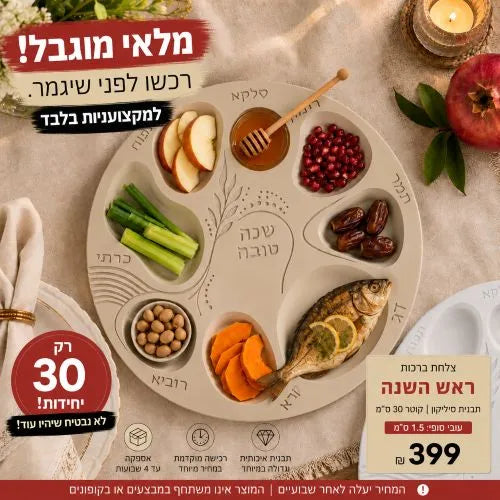 תבנית סיליקון לצלחת ברכות ראש השנה בקוטר 30 ס״מ  מלאי מוגבל
