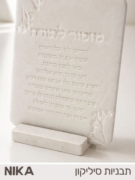תחתית של מעמד