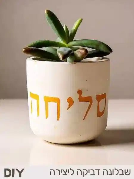 סליחה - שבלונה ומדבקה לבטון