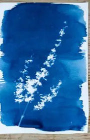Cyanotype Paper מוכן לשימוש – סט להדפסי שמש