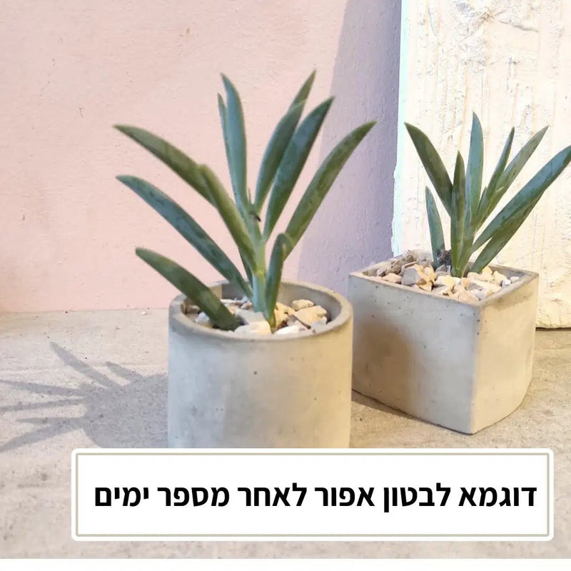 בטון ליצירה מהיר אפור MOMENTO – עמידות גבוהה ויציקה נקייה