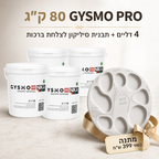 מבצע ראש השנה: 80 ק״ג GYSMO PRO + תבנית צלחת ברכות במתנה